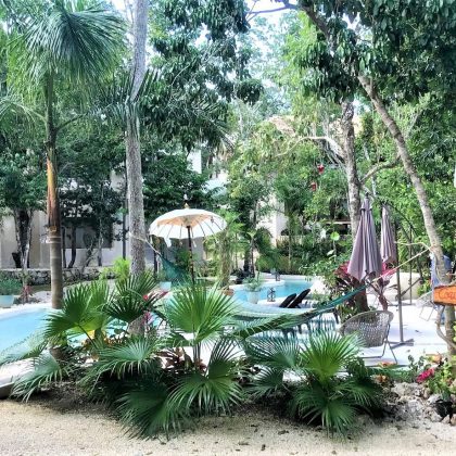 jardin